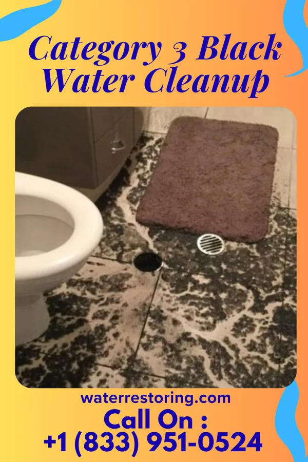 Category 3 Black Water Cleanup in Oso, WA
