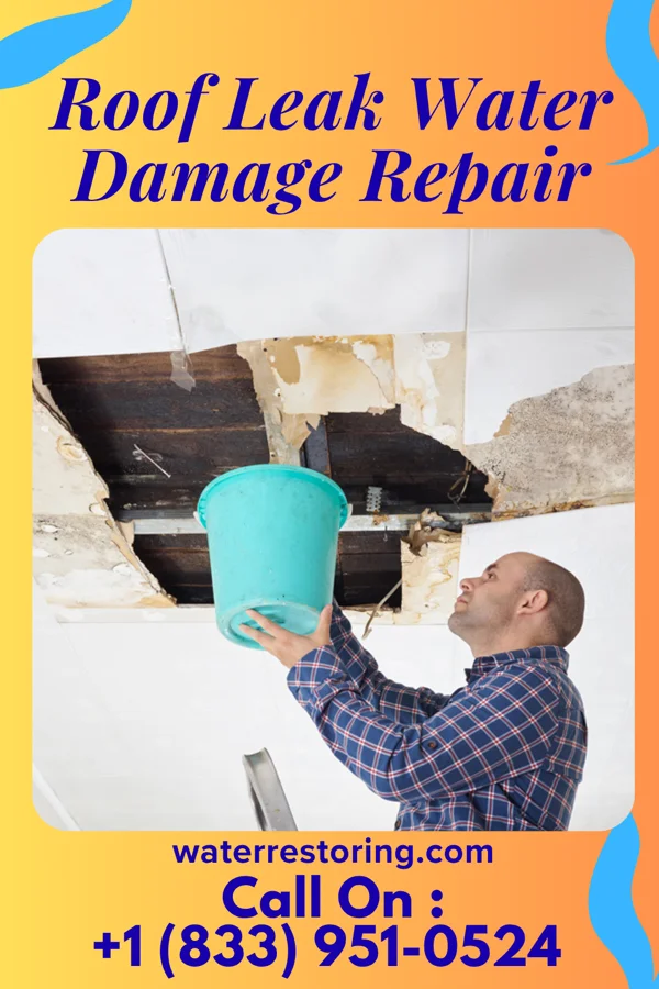Roof Leak Water Damage Repair in Oso, WA